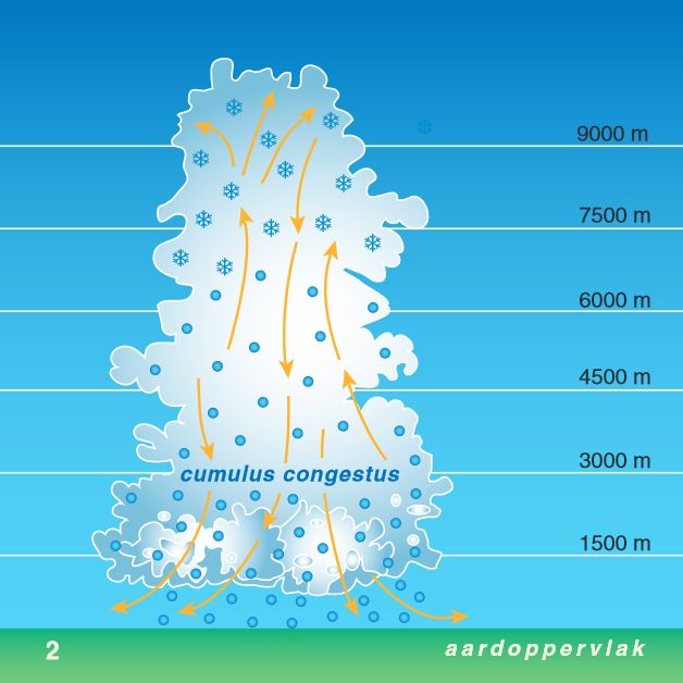 Levenscyclus van een onweersbui (2): cumulus congestus
