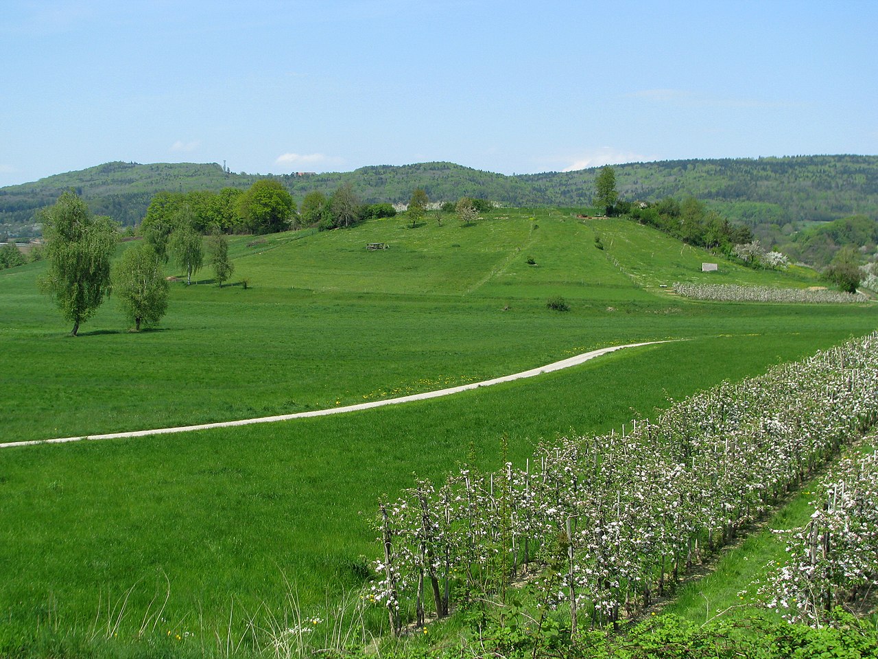 Klik op de foto om te vergroten Highslide JS