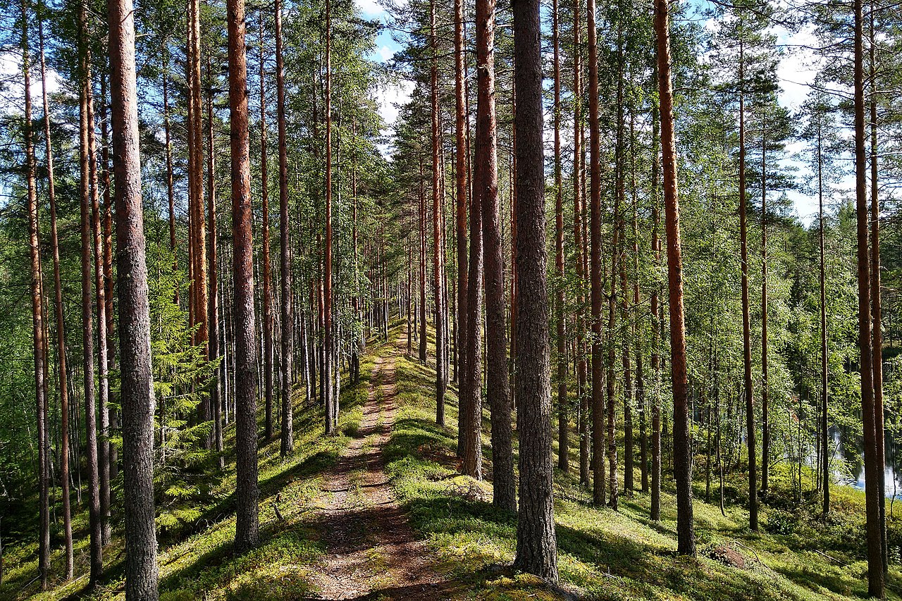 Klik op de foto om te vergroten Highslide JS