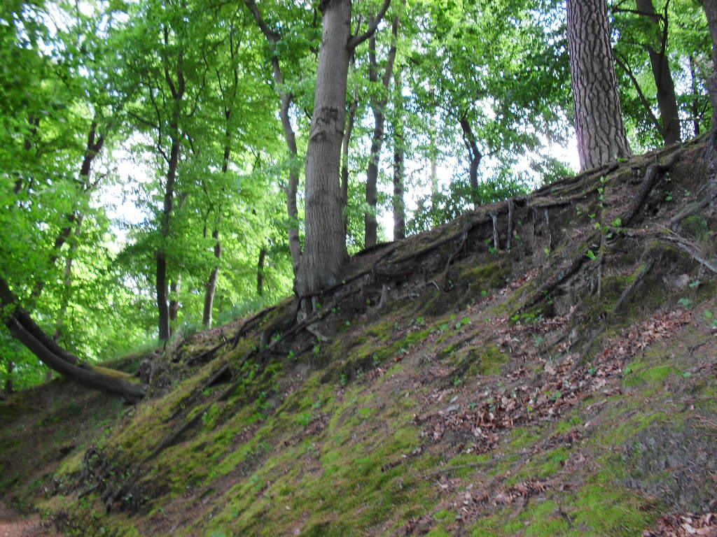 Klik op de foto om te vergroten Highslide JS