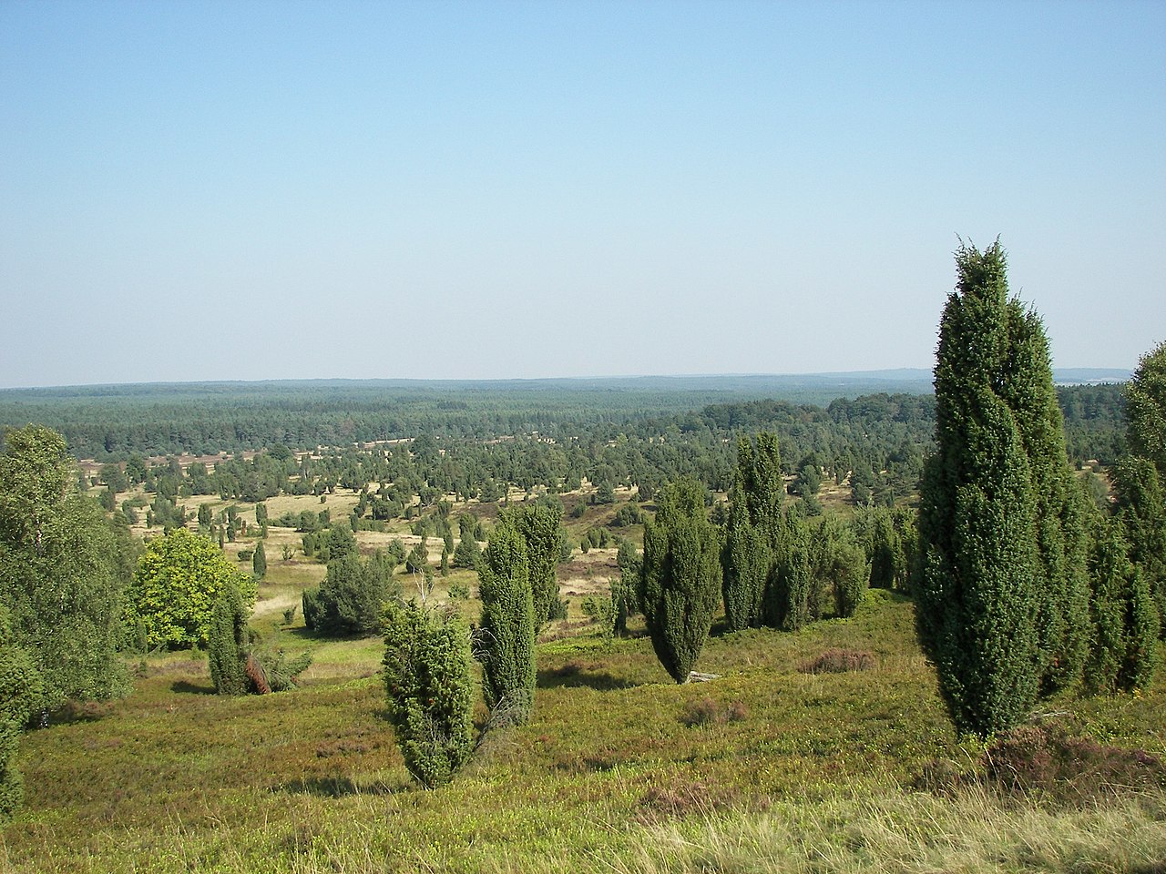 Klik op de foto om te vergroten Highslide JS