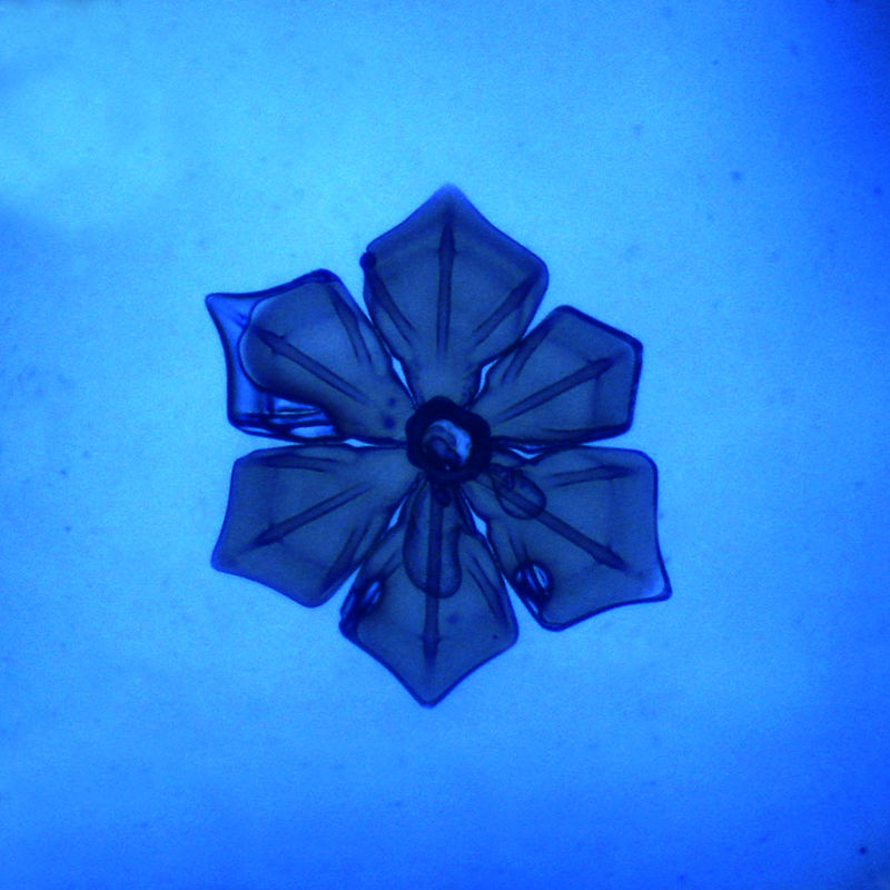 Klik op de foto om te vergroten Highslide JS