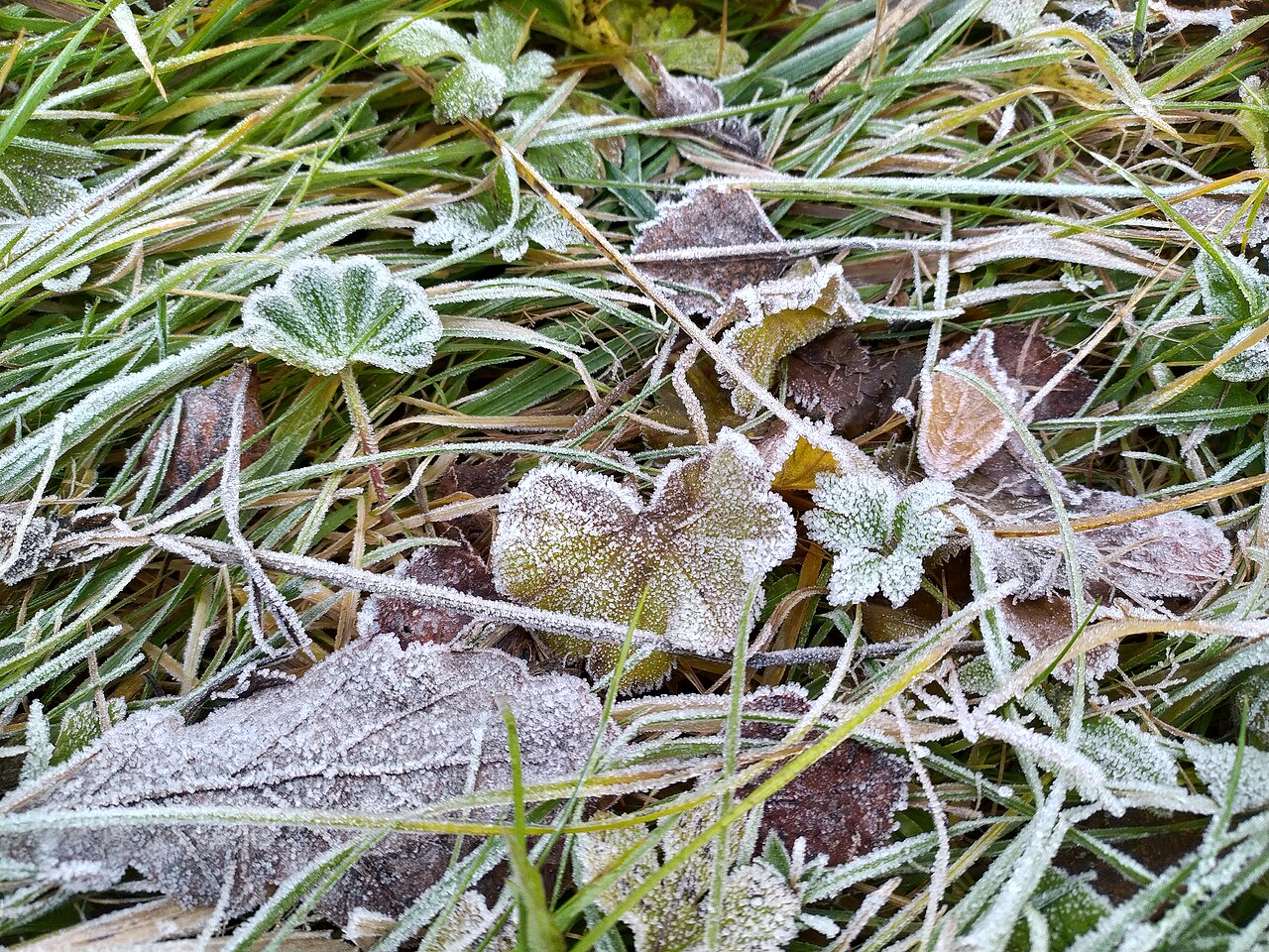 Klik op de foto om te vergroten Highslide JS